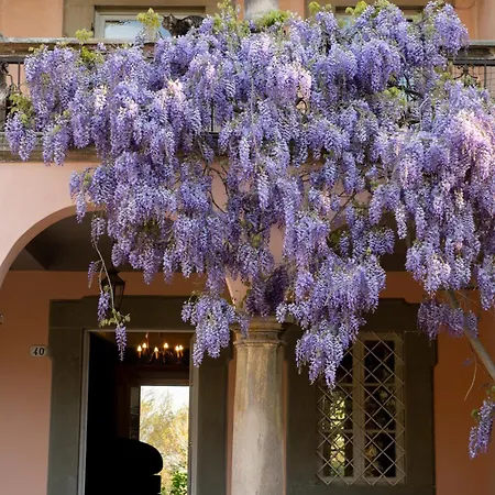 Bed & Breakfast Il Casale Di Rossi 3*