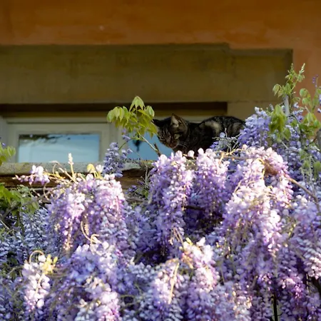 Bed & Breakfast Il Casale Di Rossi 3*