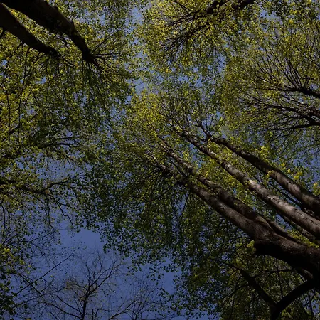 Rossi Residenze D'epoca