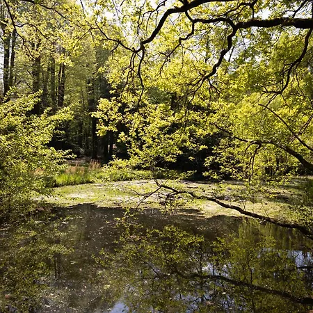 Rossi Residenze D'epoca Alojamento de Acomodação e Pequeno-almoço