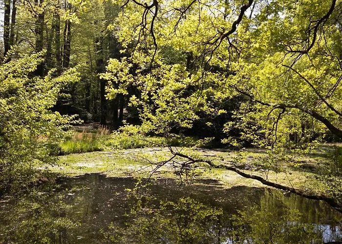 Il Casale Di Rossi Bed & Breakfast